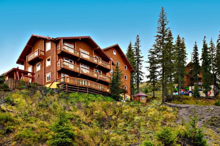 Alpin Eco Chalet Драгобрат