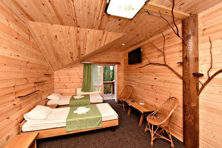 Alpin Eco Chalet Драгобрат