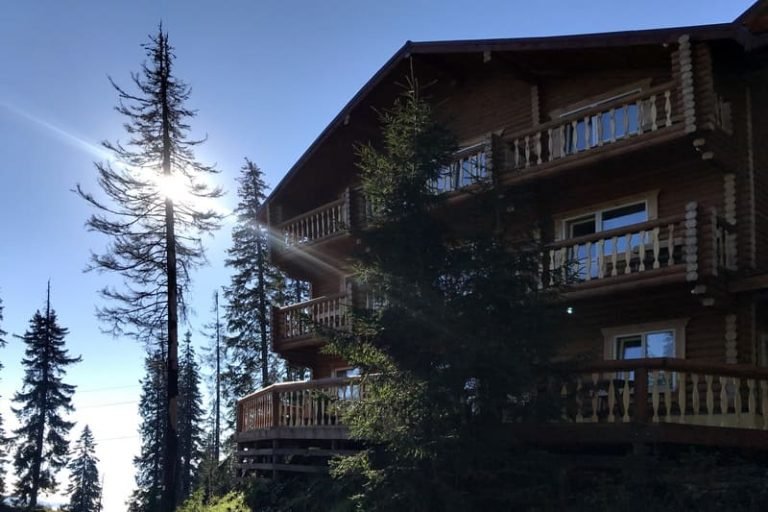 Alpin Eco Chalet Драгобрат