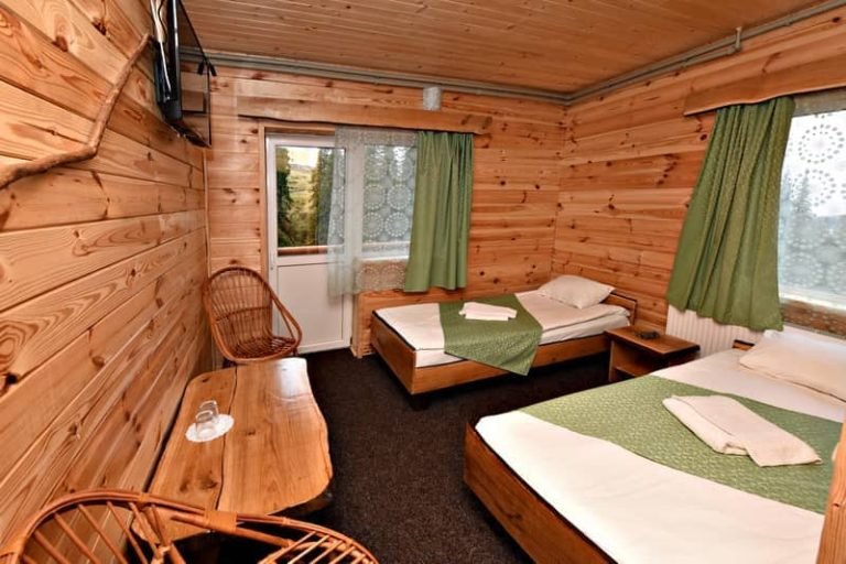 Alpin Eco Chalet Драгобрат