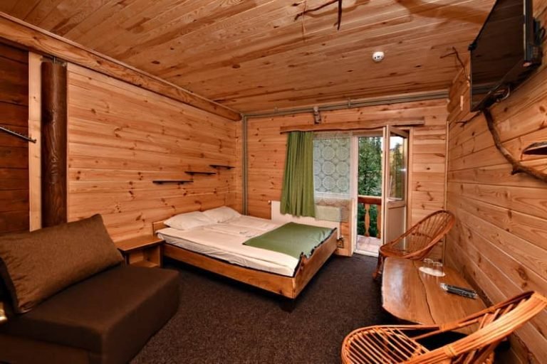 Alpin Eco Chalet Драгобрат