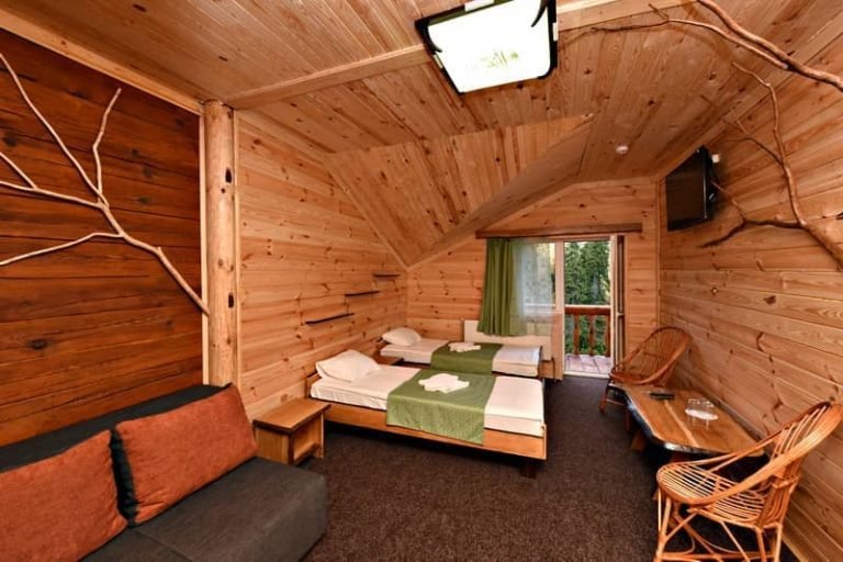 Alpin Eco Chalet Драгобрат