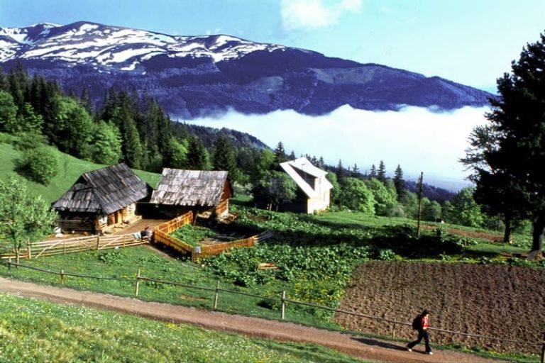 Калина Драгобрат
