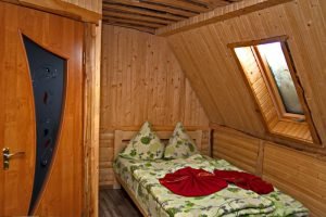 Пролісок Драгобрат