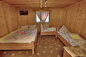 Ялинка Драгобрат