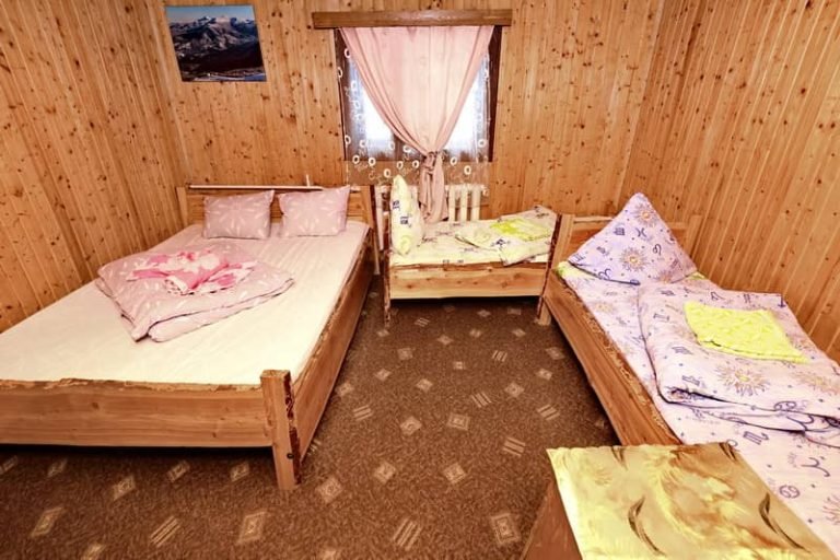 Ялинка Драгобрат