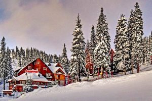 Затишок Драгобрат